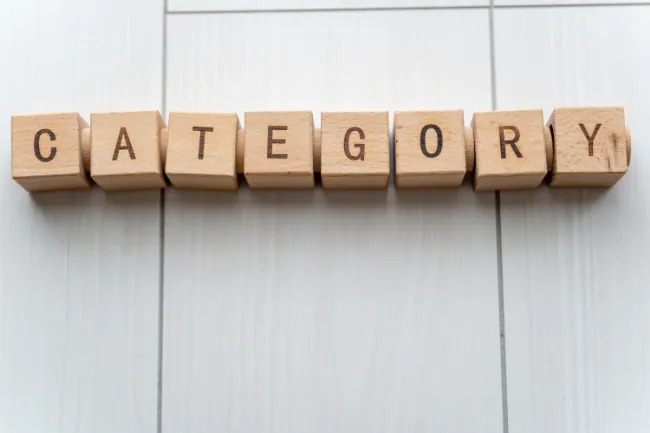 自費の入れ歯の種類・分類